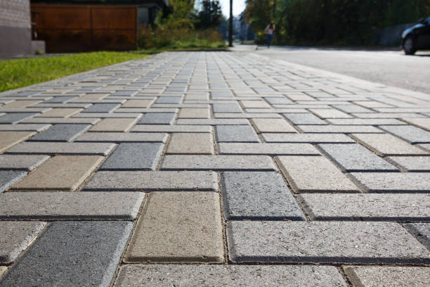 Best Driveway Paving Contractor  in Silver City, NM